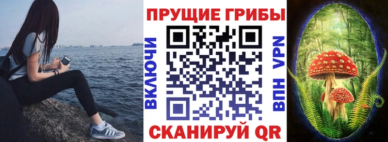 Галлюциногенные грибы GOLDEN TEACHER  как найти   Ульяновск 