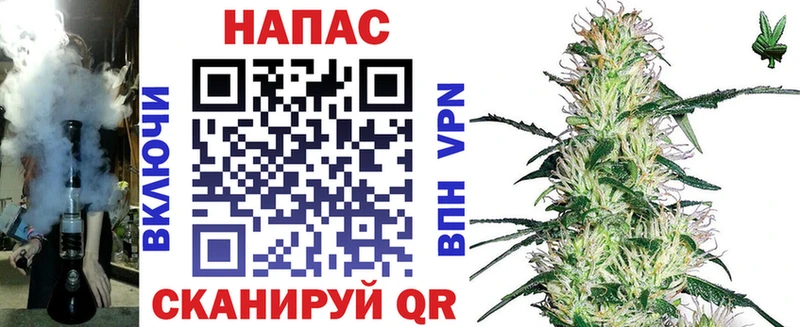 Бошки Шишки конопля  купить закладку  Ульяновск 